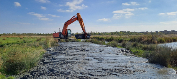 Curage de fossé (marais de voutron)